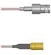 Amphenol Custom Cable Q-0303W0005012i
