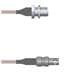 Amphenol Custom Cable Q-1U00Q0005012i
