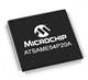 Microchip Technology ATSAME54P20A-AU-EFP