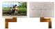 Newhaven Display NHD-7.0-800480EF-ASXN#